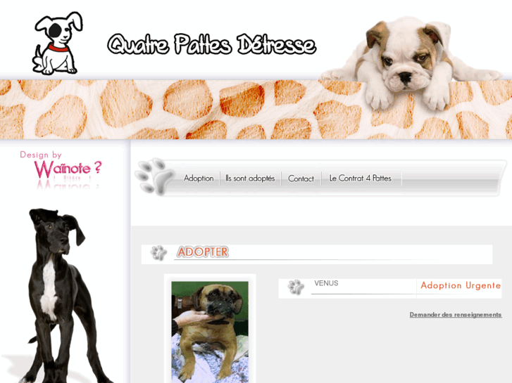www.quatre-pattes-detresse.com