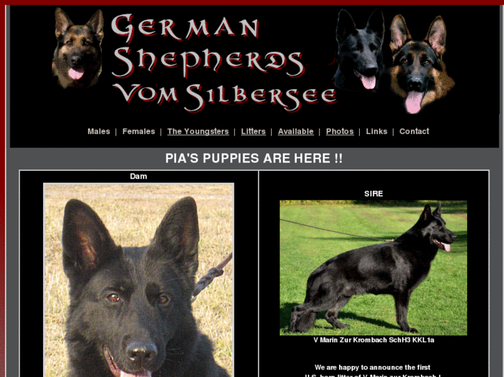 www.vomsilbersee.com