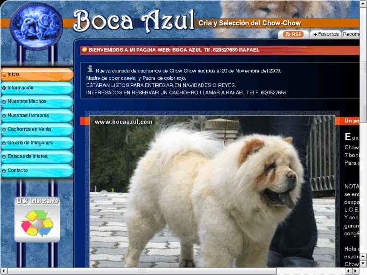 www.bocaazul.com
