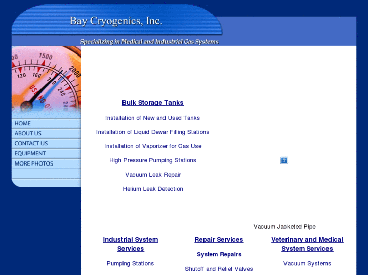 www.baycryogenics.com