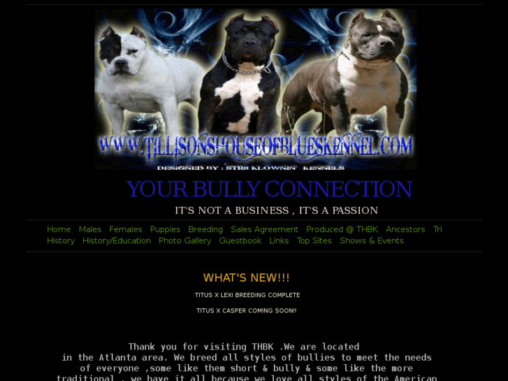 www.tillisonshouseofblueskennel.com