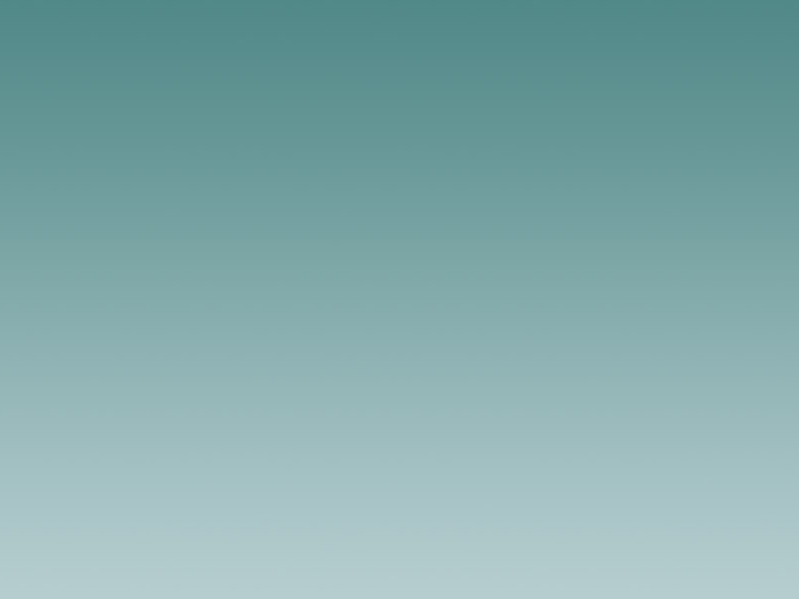 www.boies2000.com