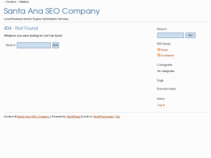 www.santaanaseocompany.com