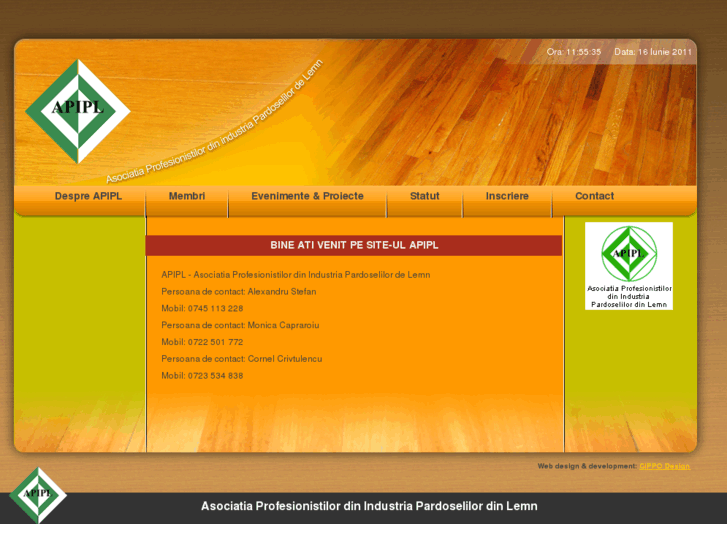 www.apip.ro