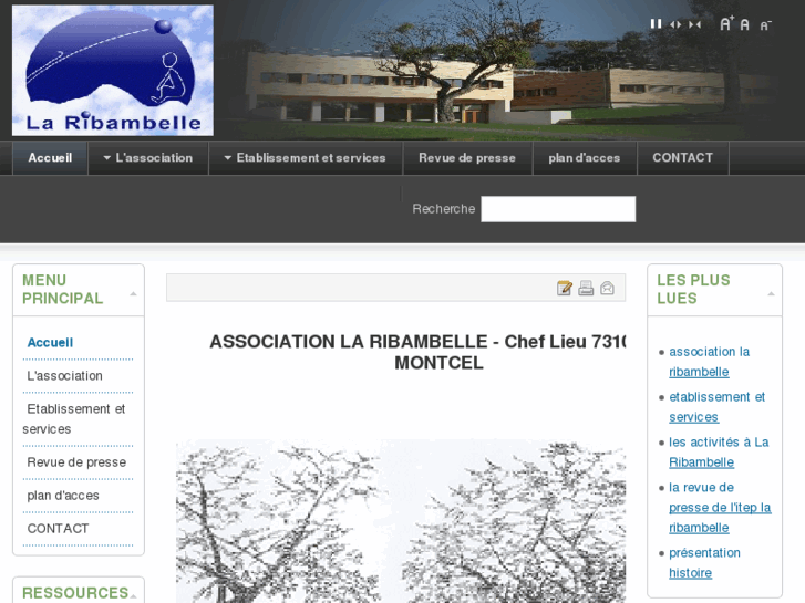 www.laribambelle.org