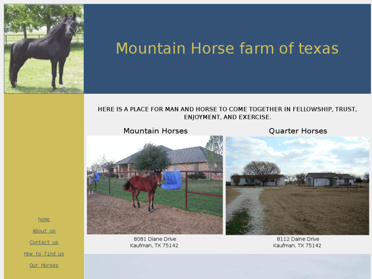 www.mountainhorsetexas.com