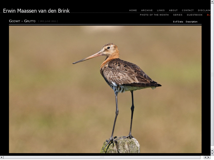 www.maassenvandenbrink.com