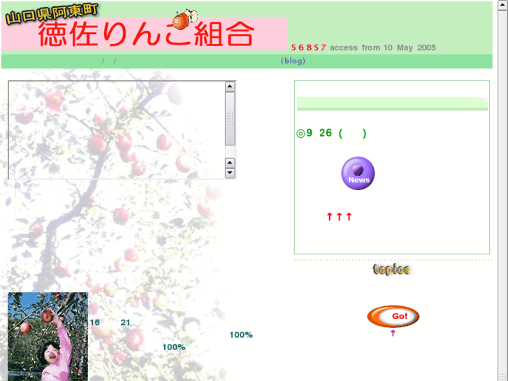 www.tokusa-ringo.net