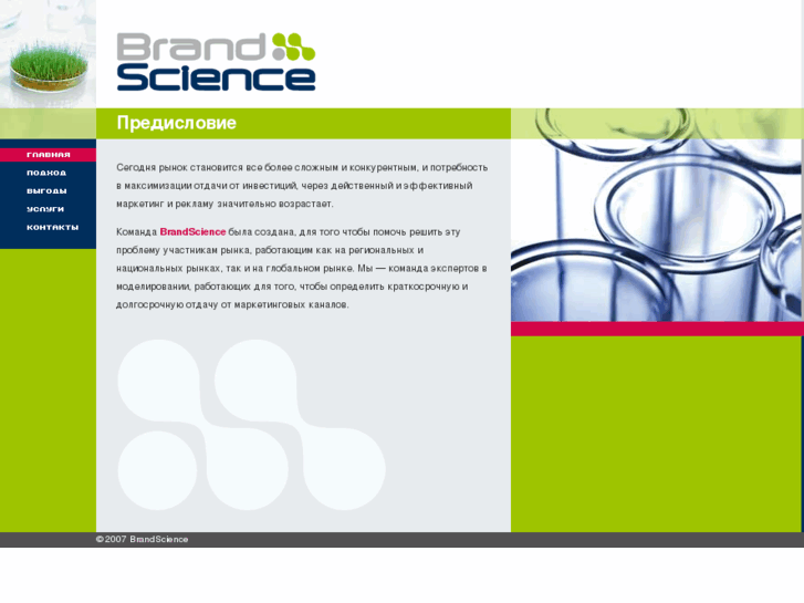 www.brandsciencenetwork.ru