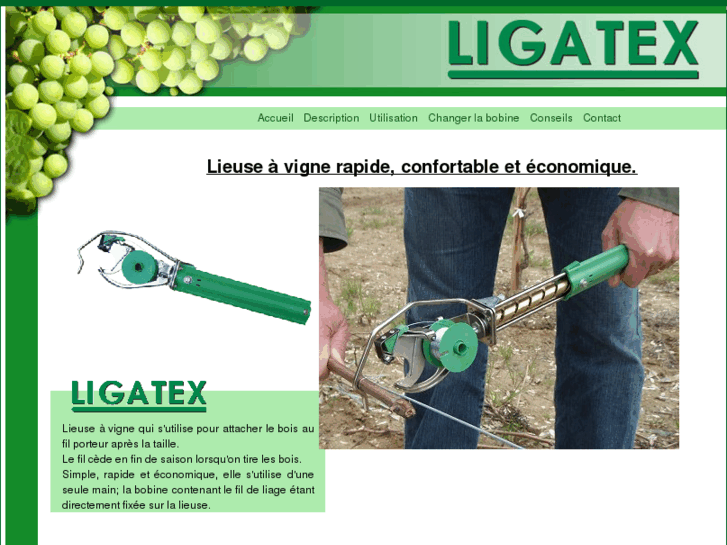www.ligatex.com