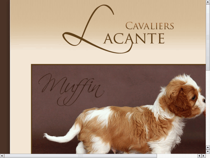 www.lacante.pl
