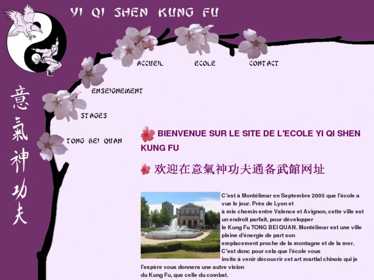 www.yiqishenkungfu.com