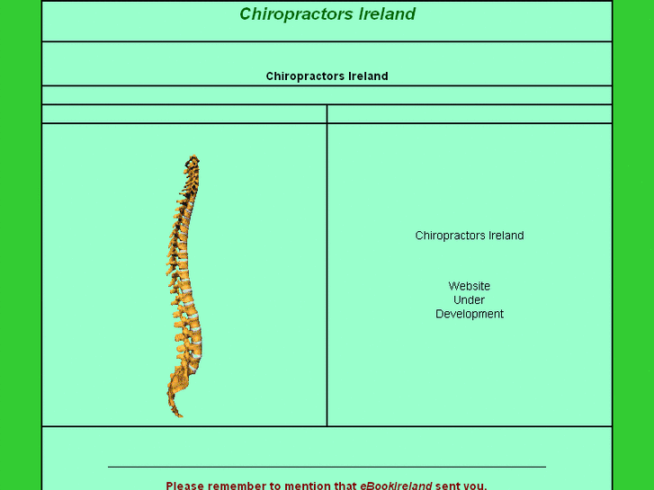 www.chiropractors-ireland.com