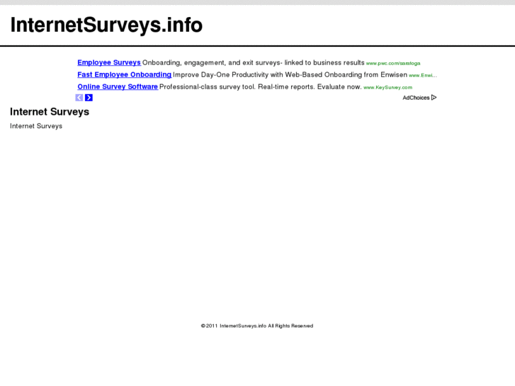www.internetsurveys.info