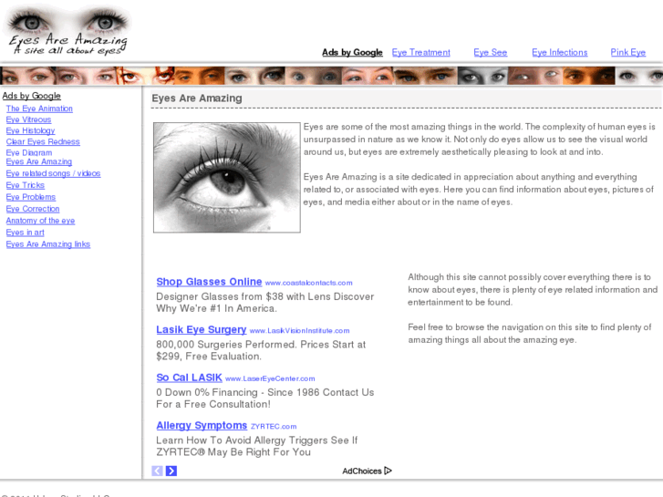 www.eyesareamazing.com