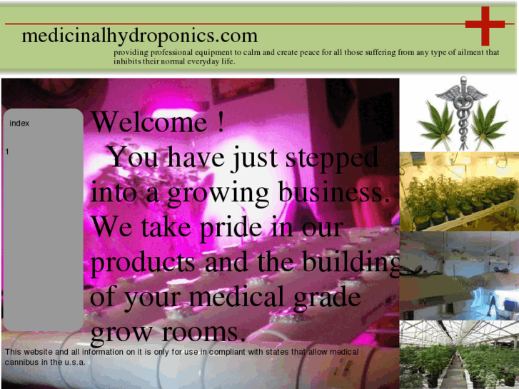 www.medicinalhydroponics.com