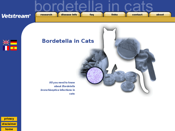 www.felinebb.info