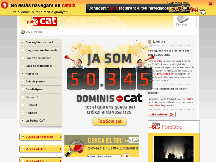 www.punt-cat.com