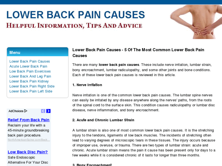 www.lowerbackpaincausesinfo.com