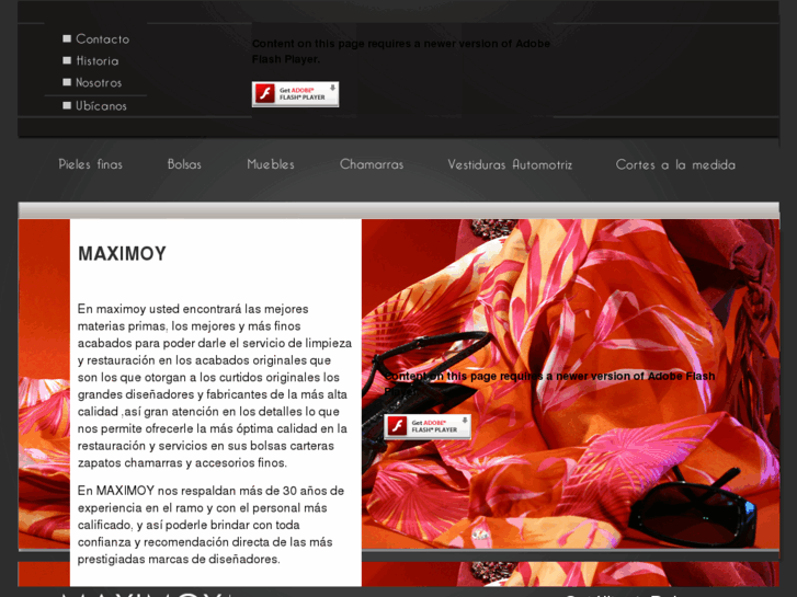 www.maximoy.com