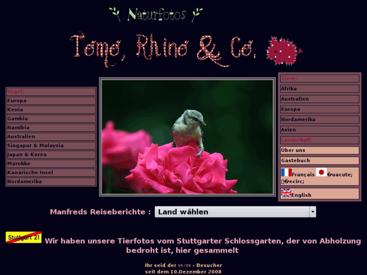 www.tomo-rhino.com