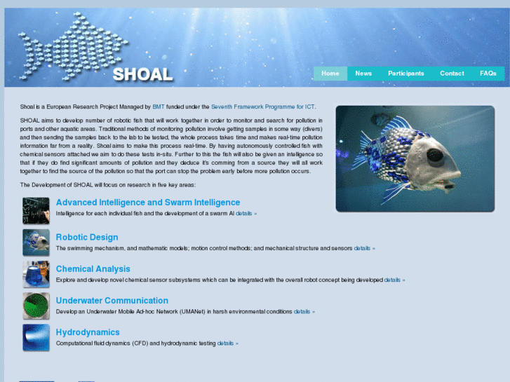 www.roboshoal.com