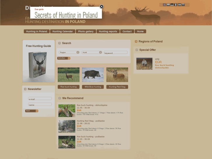www.directhunter.com