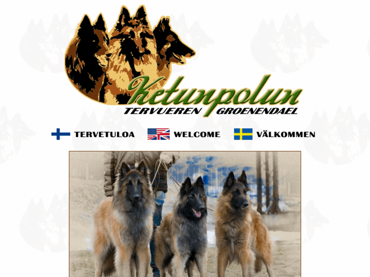 www.ketunpolun.com