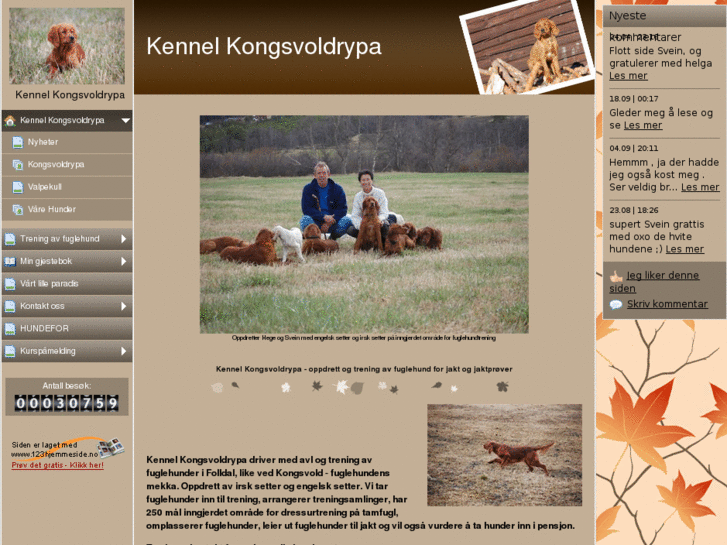 www.kongsvoldrypa.com