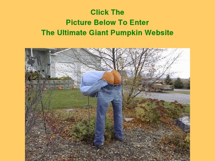 www.thepumpkinmaster.com