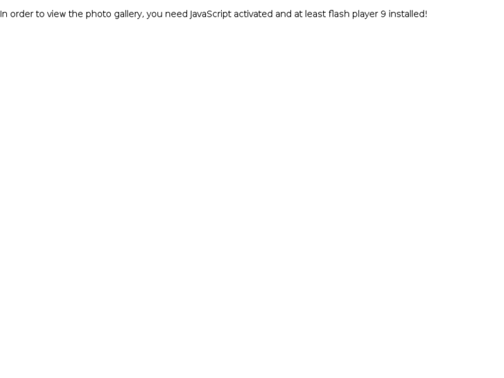 www.warzechastudio.com