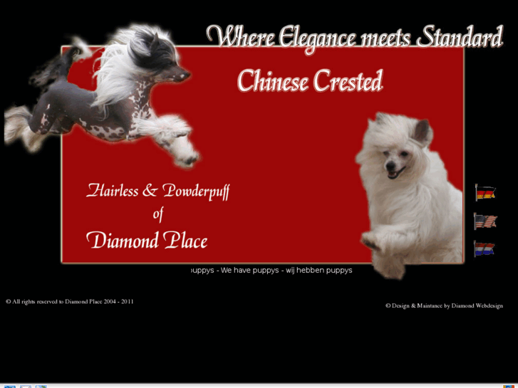 www.diamond-place.com