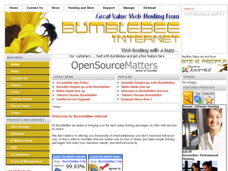 www.bumblebeeinternet.com