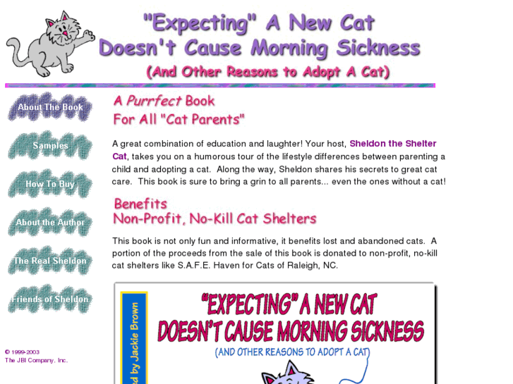 www.expectinganewcat.com