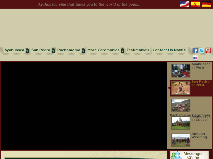 www.ayahuascainperu.com