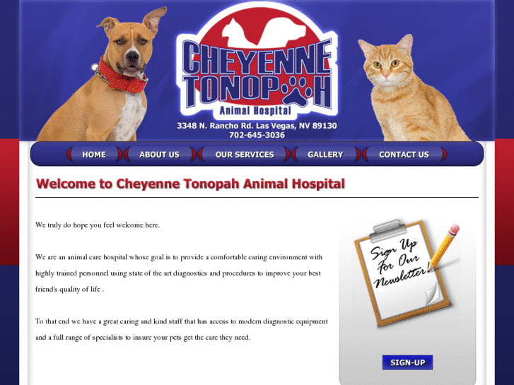 www.ctanimalhospital.com