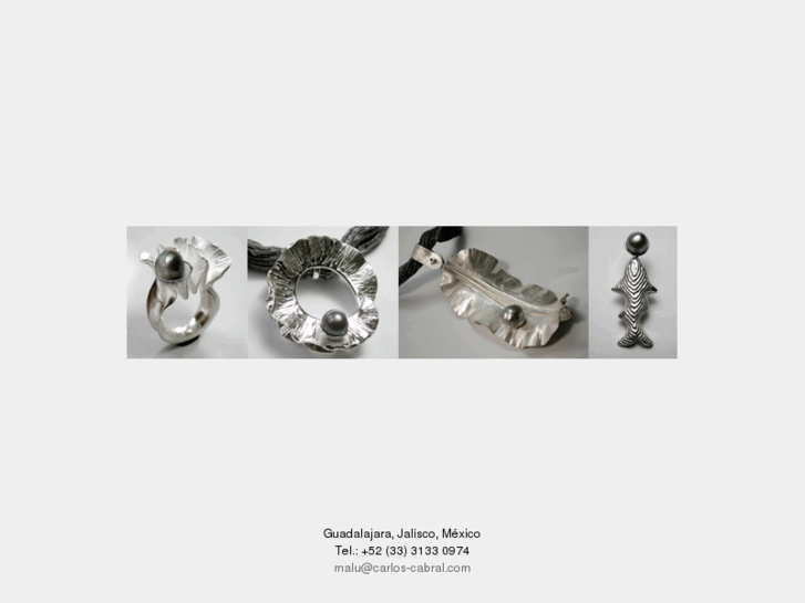 www.carlos-cabral.com