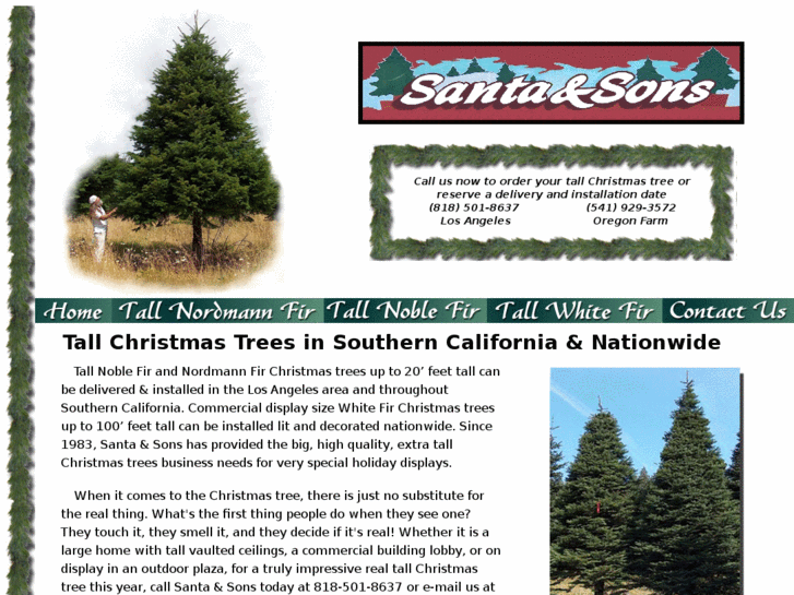 www.tallchristmastree.com