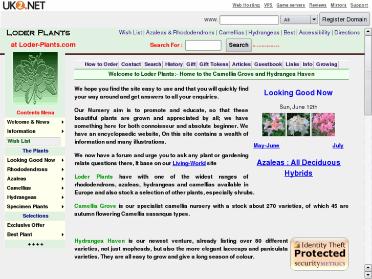 www.large-plants.com