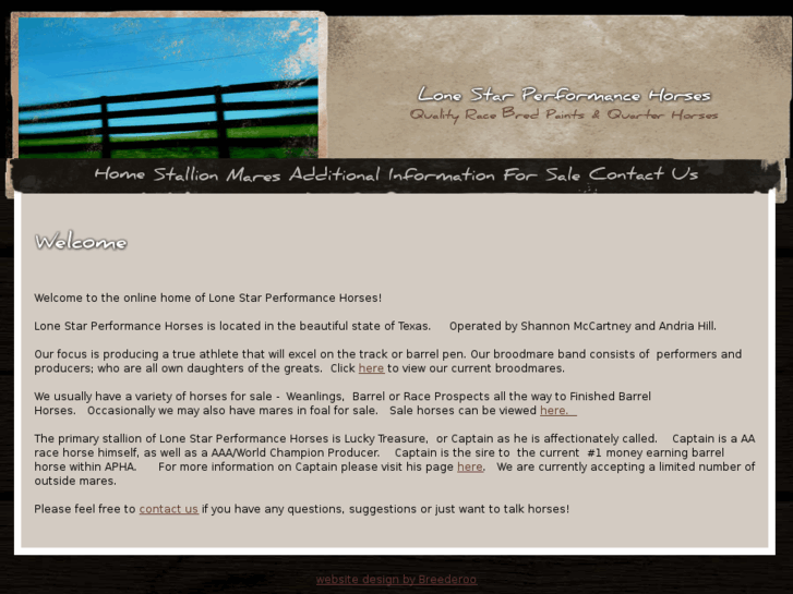 www.lonestarperformancehorses.com