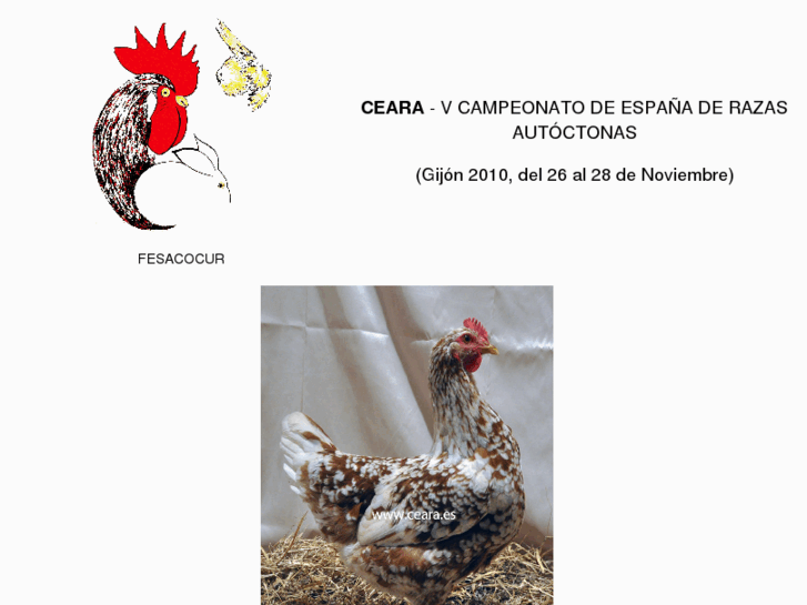 www.ceara.es
