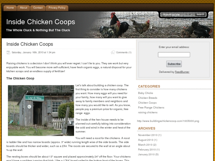 www.insidechickencoops.com