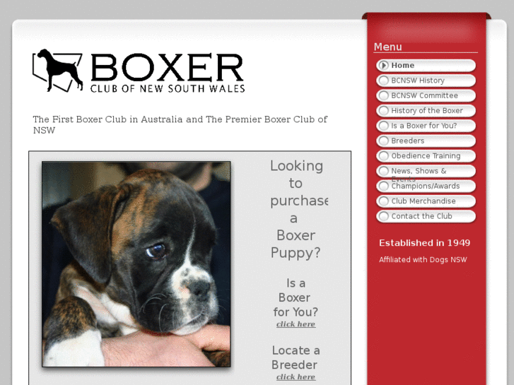 www.boxerclubnsw.com