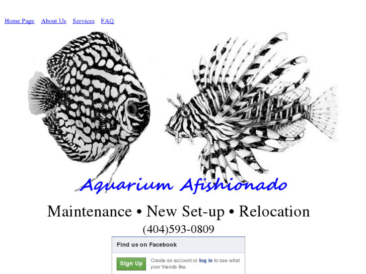 www.aquariumafishionado.com