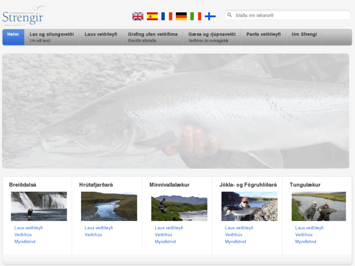 www.strengir.is