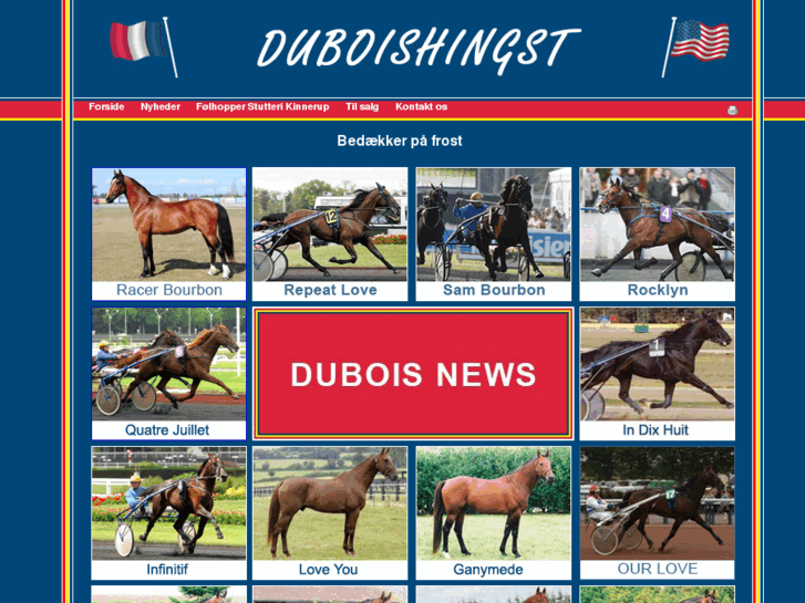 www.duboishingst.eu
