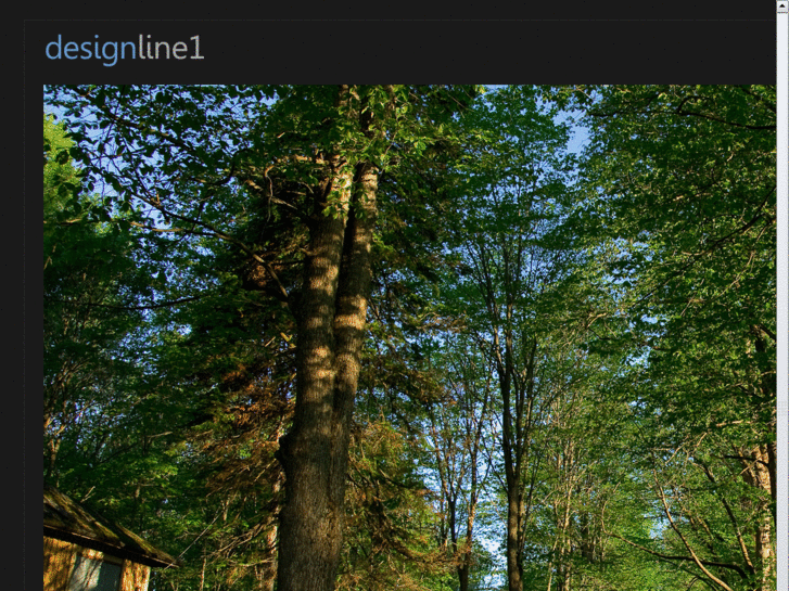 www.designline1.com