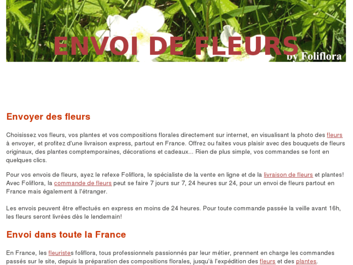 www.envoi-de-fleurs.info