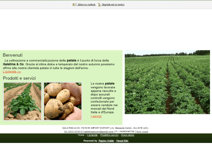 www.patategalatina.net