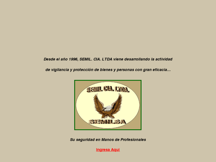 www.seguridadsemilsa.com